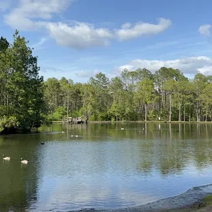 This was absolutely breathtaking