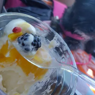 So good my dog wants a bite! Mango, lemon gelatin with fresh fruit.