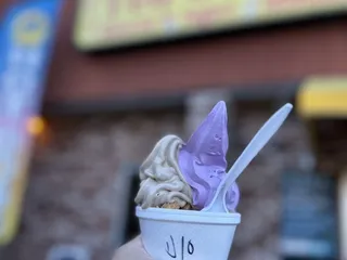 Ted & Ron’s at Flash Yogurt