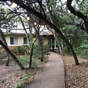 Front of the house and walkway to the door. These trees are lit up at night and it was gorgeous to walk out to after we had dinner.