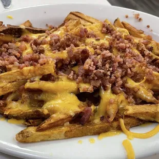 Bacon Cheese Fries are excellent!