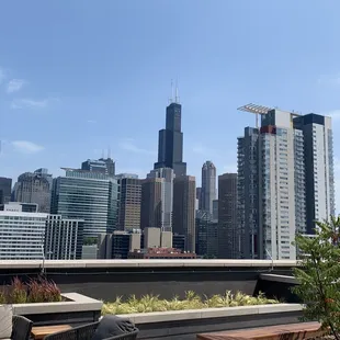 Chicago View