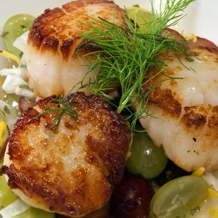 Seared Scallops