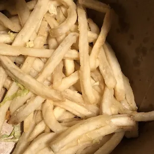 Gross soggy fries