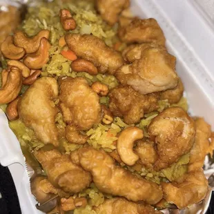 oysters, food, oysters and mussels, mussels, shellfish