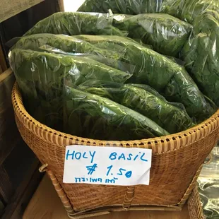 Thai Holy Basil