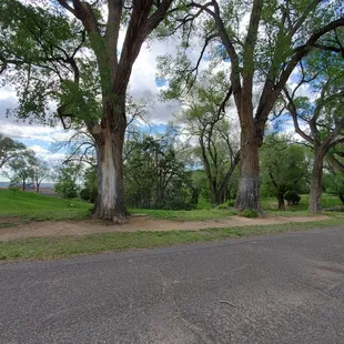 Beautiful day for a walk....