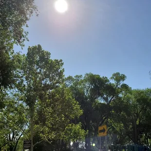 Morning steps under the beautiful spring sun