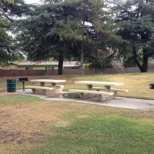 Tables and BBQ pits are spread throughout the park.