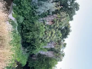 Dry Creek Regional Park