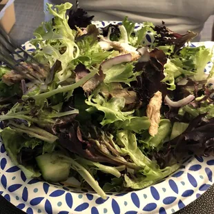 Farmers Salad with steak and shrimp