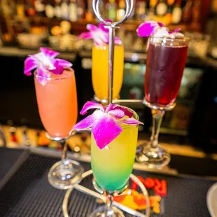 Mimosa Flight