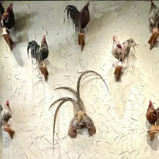 Dead Roosters on the Wall (NOT appetizing to me!)