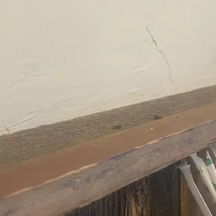 Dead flies were as plentiful and the live ones landing on everyone and everything.