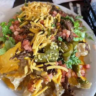 Loaded wonton nachos