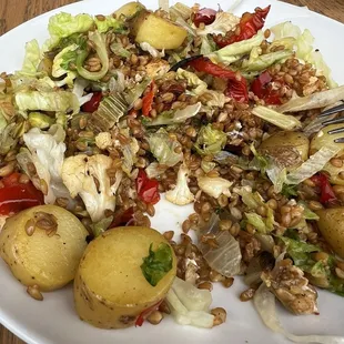 Grain (farro) salad with roasted vegetables and normally also has rotisserie chicken. SO GOOD!