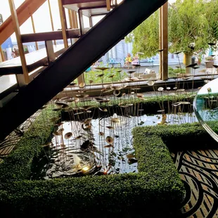 Part of the normal Roostertail decor