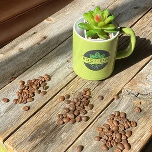 Bourbon Aged Beans, House Roast &amp; Espresso Beans, they look very similar, but if we had smell-o-vision...