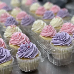 ows cupcakes in plastic containers