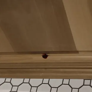 Blood on the bathroom door.