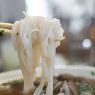 Fresh Noodles (50¢)