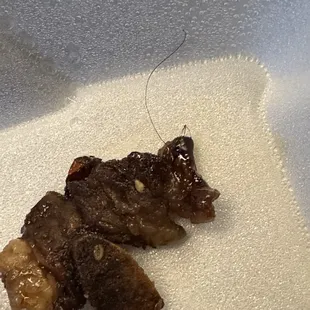 The Kalbi Rib plate with hair inside