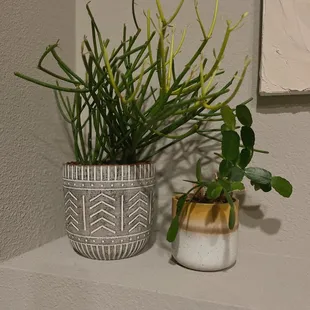 Roots