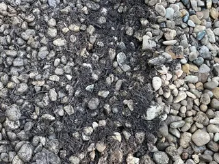 Suburban Lawn & Garden