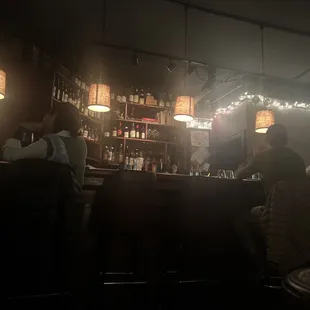 people sitting at the bar