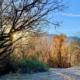 One of several walking paths in Roper Lake State Park