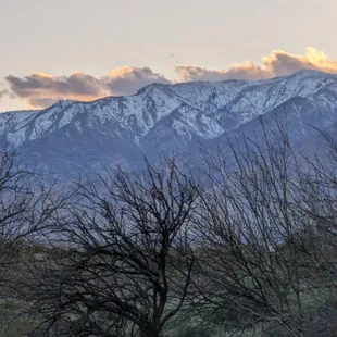 Mt Graham