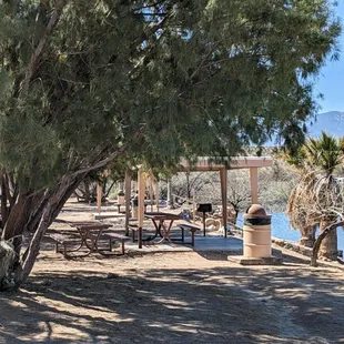 Day area