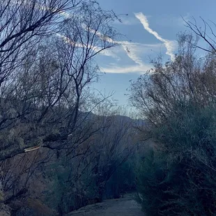 Fingerling clouds float above