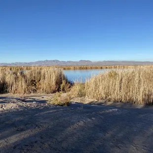 Roper Lake