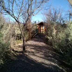 Walking bridge along a creek