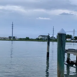 Views from the deck