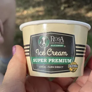 a hand holding a cup of ice cream