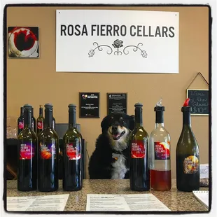 Look who's pawring in the tasting room!