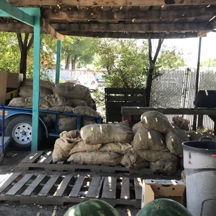 It's the most wonderful time of the year