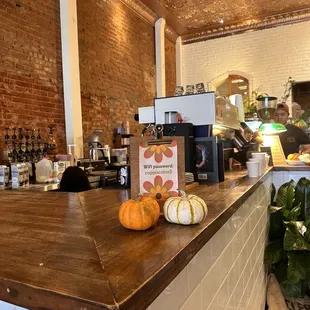 a coffee shop counter with pumpkins on it
