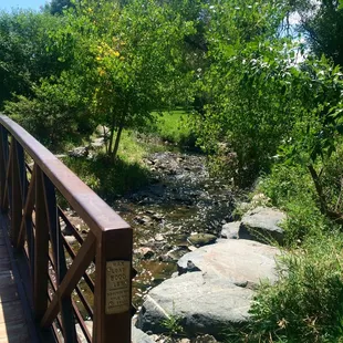 Trees &amp; Water!