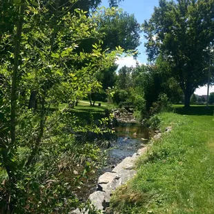 Nice Creek!