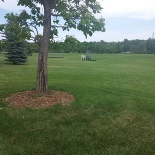 Gorgeous park and tons of space.