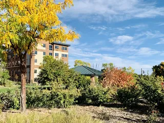 Civic Green Park