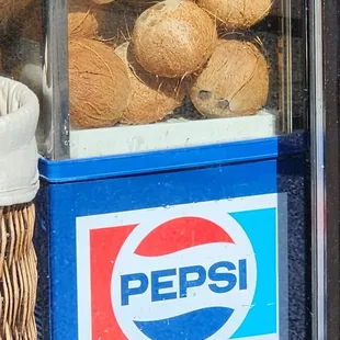 Curious looking Pepsis, lol (5/14/23)