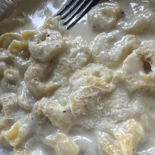 Cheese tortellini with Alfredo sauce!