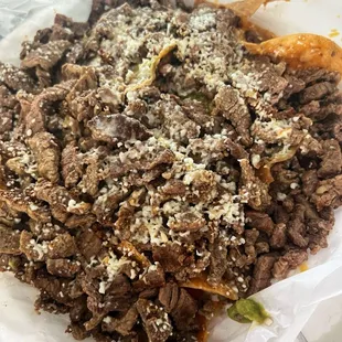 Carneasada fries with extra meat