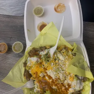 Carnes asada fries