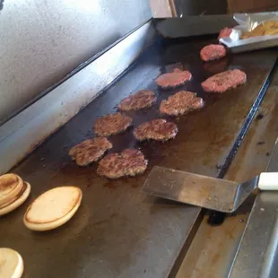Fresh Patties