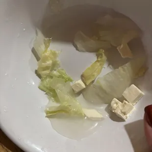 Iceberg was old and watery